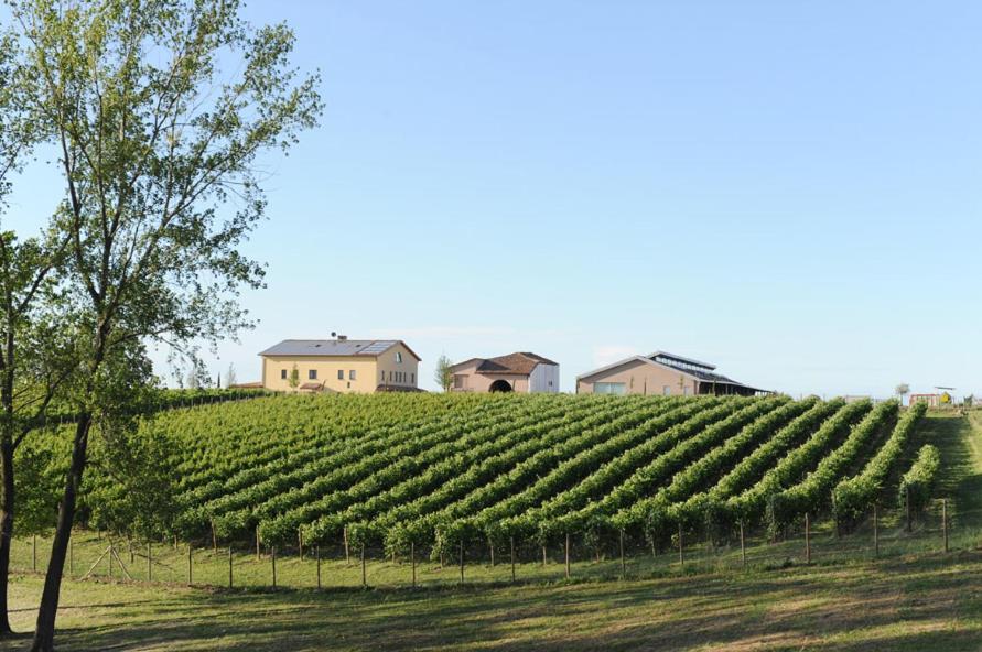 Pianderna Agriwellness Villa Scandiano Exterior photo